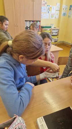 576836783 122231373896499419 6825439426947440324 n